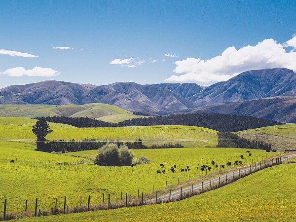 New Zealand Rural Land Company Limited – Restructure and sale of property portfolio